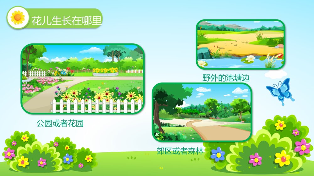 《花儿好看我不摘》幼儿园小班社会活动教育主题PPT课件4