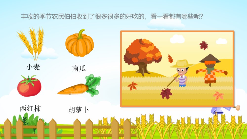 《小麦的一生》幼儿园科学教育教学PPT课件4