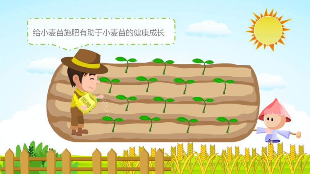 《小麦的一生》幼儿园科学教育教学PPT课件7