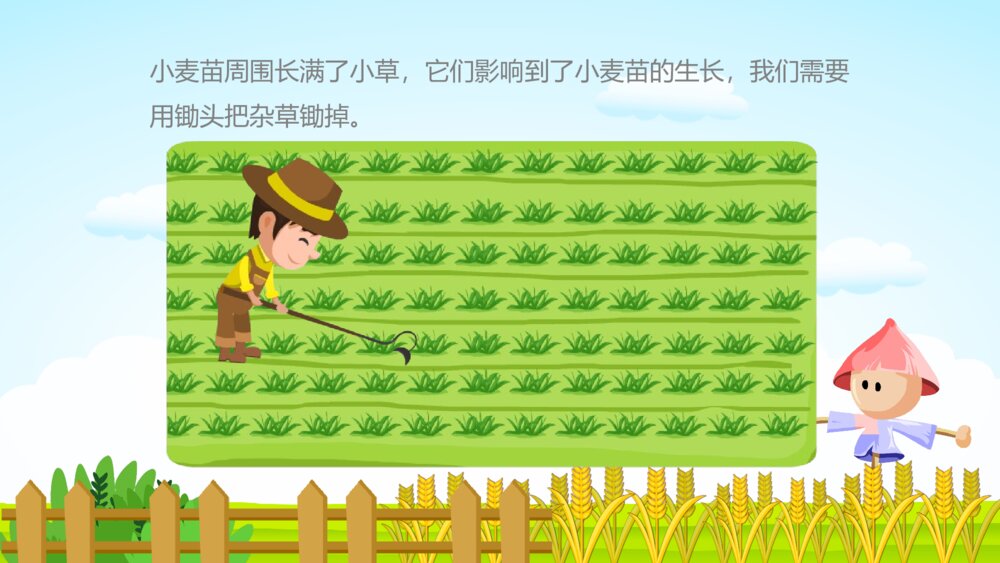 《小麦的一生》幼儿园科学教育教学PPT课件8
