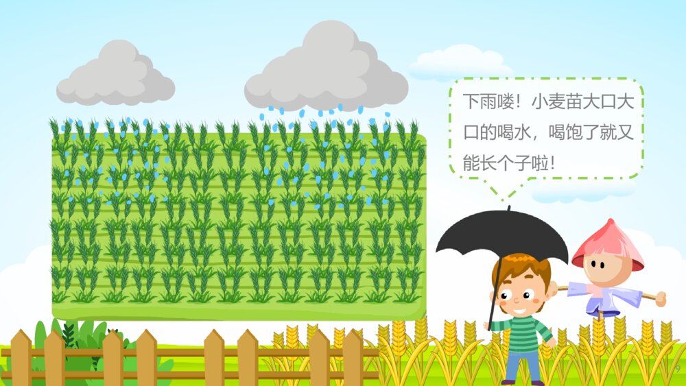 《小麦的一生》幼儿园科学教育教学PPT课件9