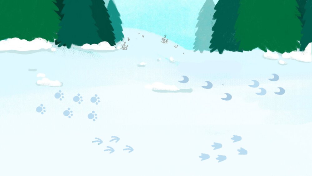 《雪地里的小画家》幼儿园中班语言教育主题PPT课件(含word教案)5