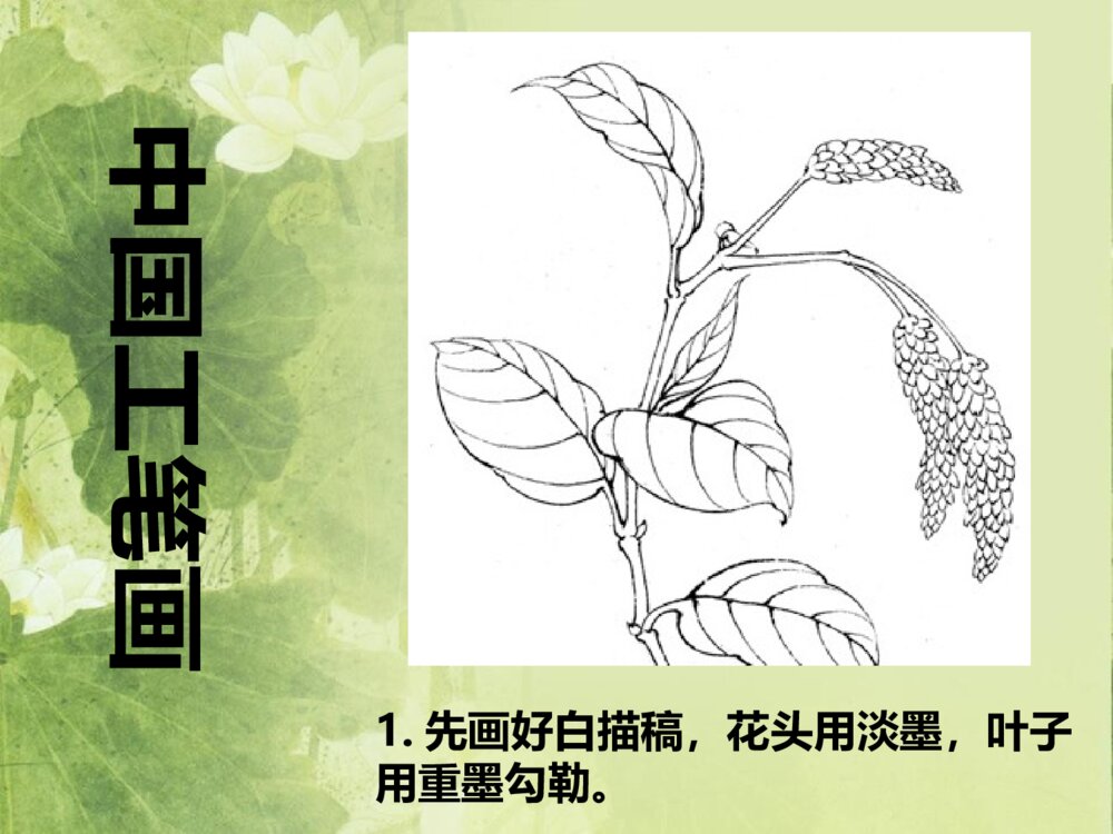 工笔花卉·小学美术PPT课件9