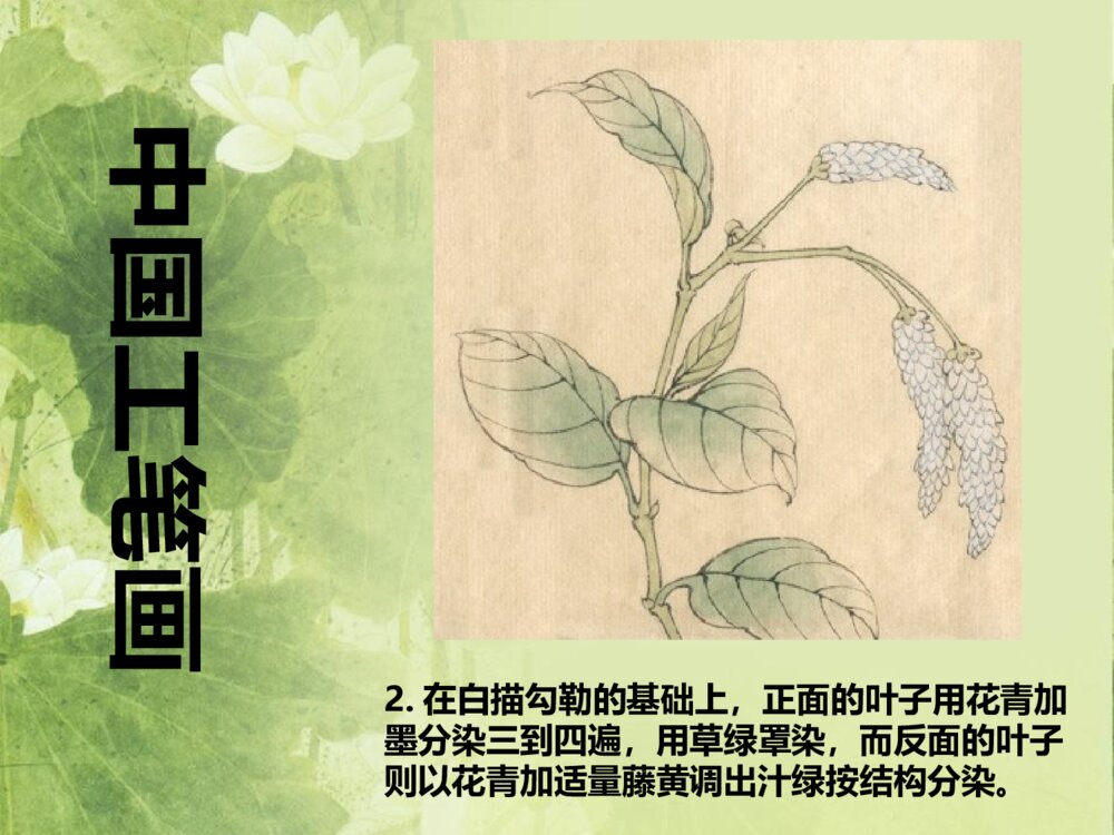 工笔花卉·小学美术PPT课件10