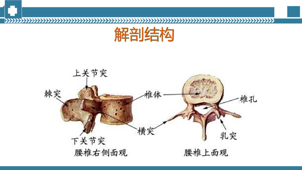 手术室腰椎手术配合PPT课件 腰椎压缩性骨折手术治疗PPT电子版4