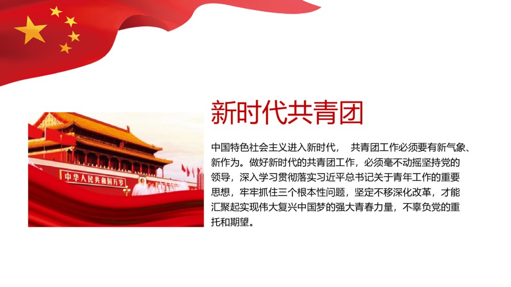 党政建设扫黑除恶专项斗争主题PPT课件下载9