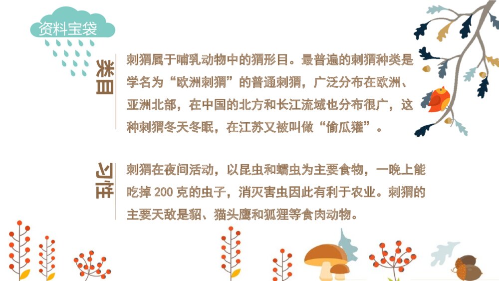 部编版·语文三年级上册《带刺的朋友》教育教学PPT课件5