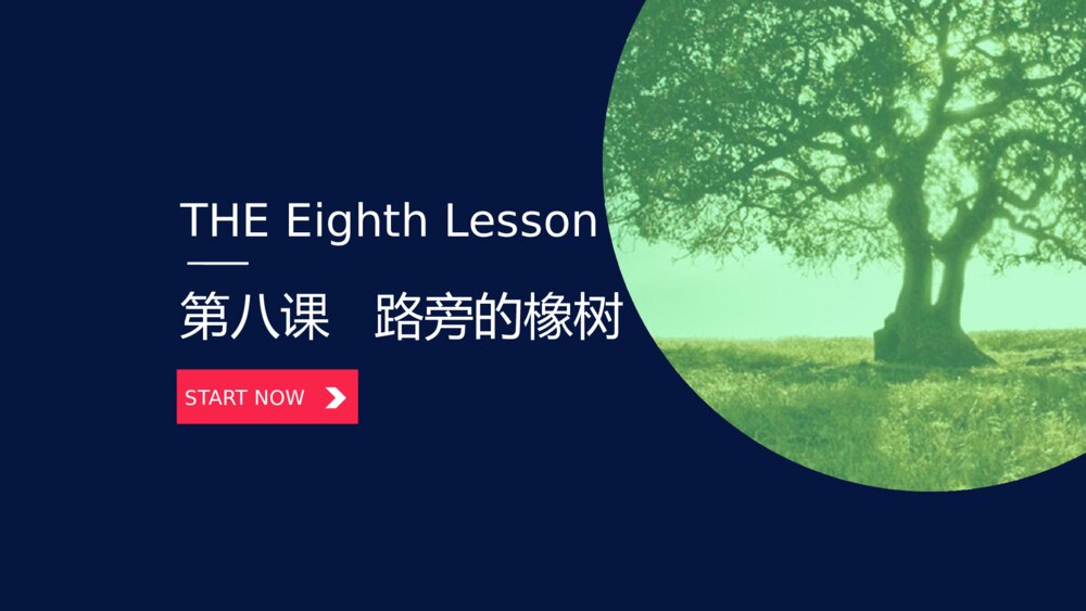 人教版三年级《路旁的橡树》教育教学PPT课件