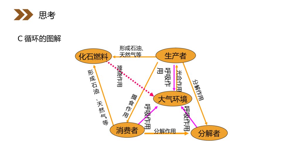 人教版高二生物必修三《生态教学系统的物质循环》PPT课件5