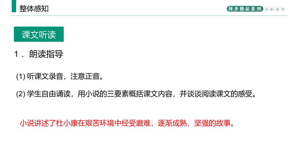 人教版九年级语文上册《孤独之旅》PPT课件6