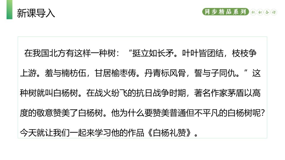 人教版八年级语文上册《白杨礼赞》PPT课件2