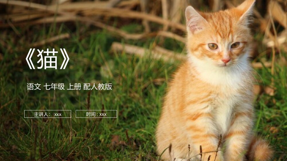 人教版七年级语文上册《猫》PPT课件