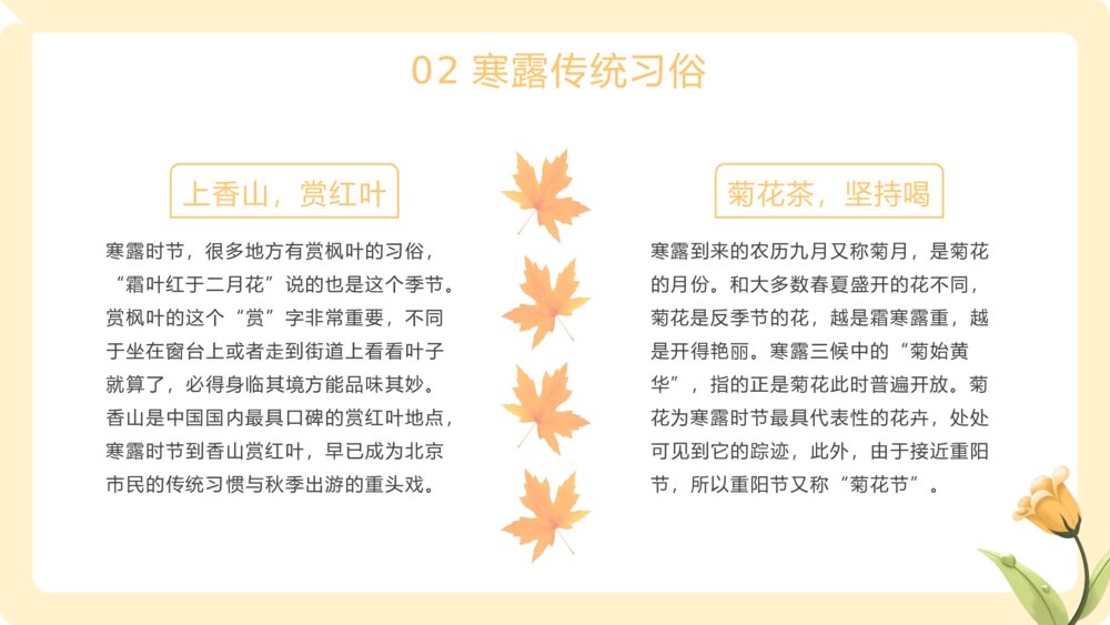 插画风二十四节气之寒露节气PPT课件下载8