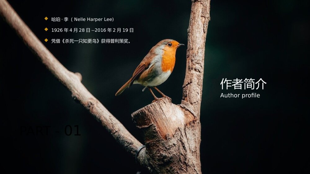 《杀死一只知更鸟》名著导读好书推荐分享PPT课件下载3