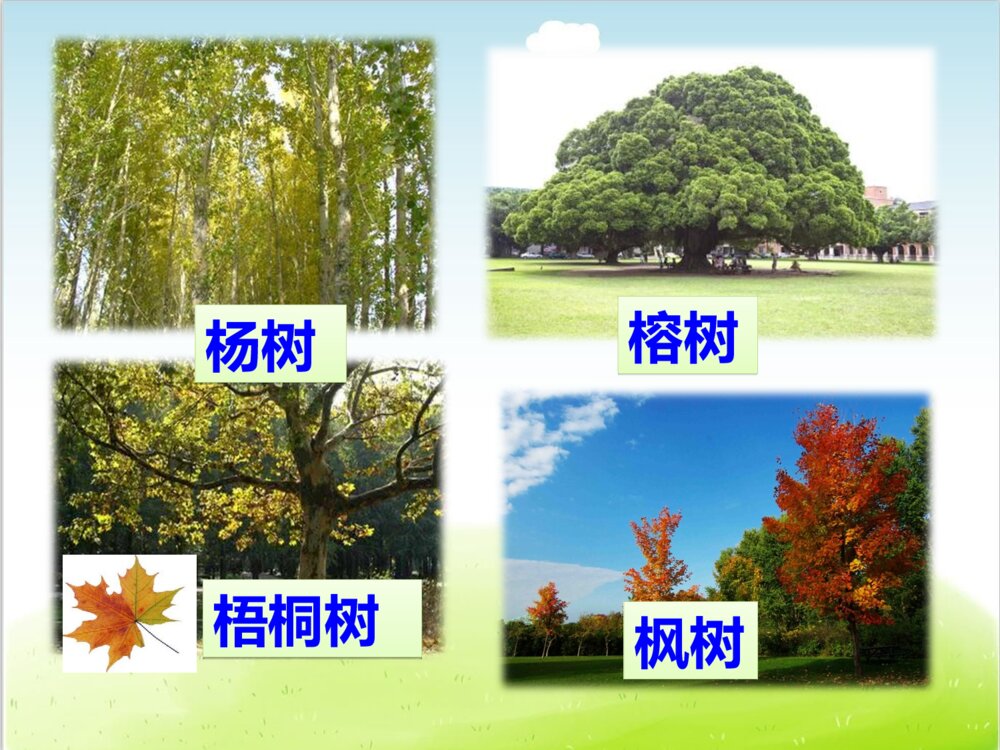 部编版二年级语文上册第二单元复习(PPT课件)5