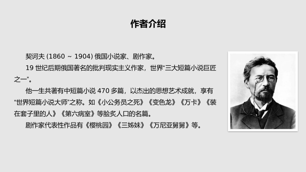 高中语文统编版必修二《装在套子里的人》PPT教学课件6