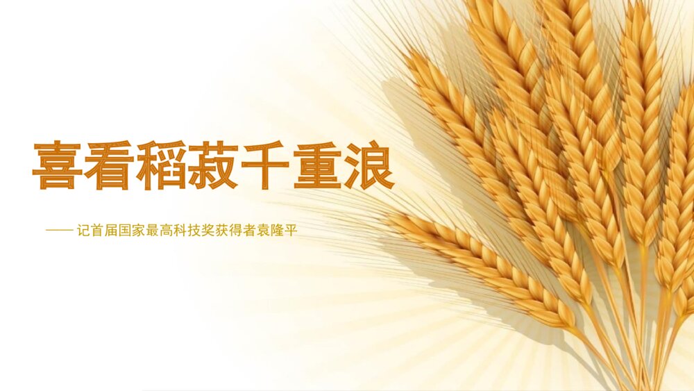 《喜看稻菽千重浪》高中语文统编版必修一PPT课件下载1