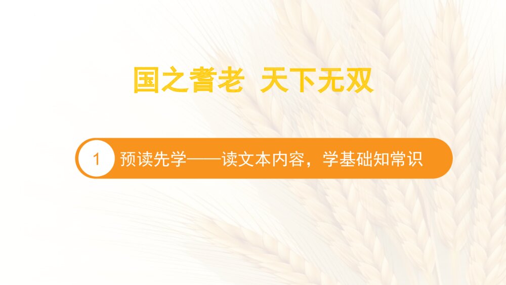 《喜看稻菽千重浪》高中语文统编版必修一PPT课件下载2