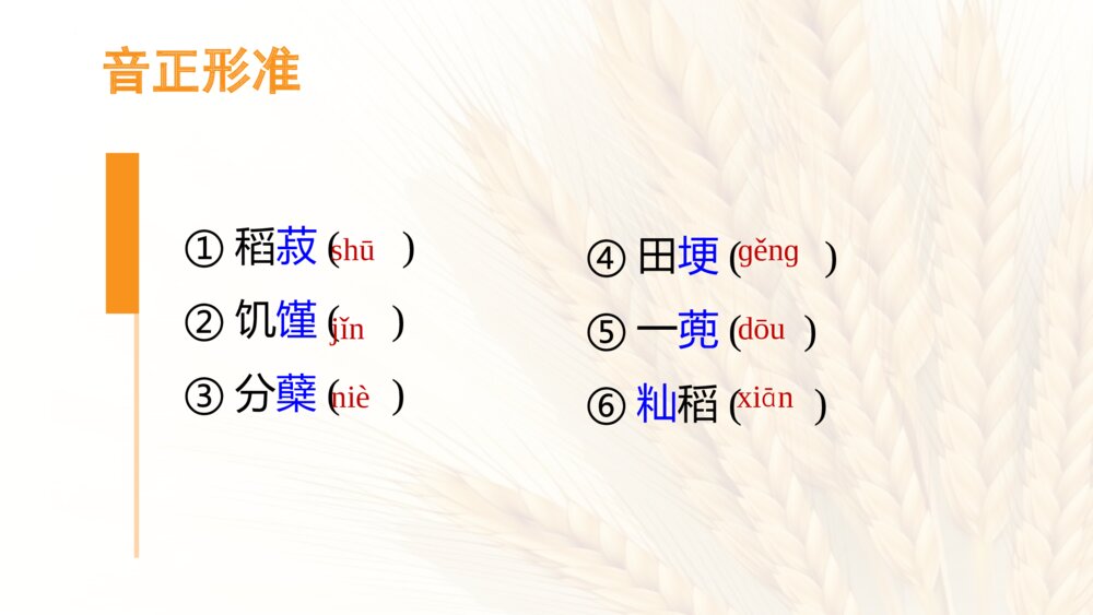 《喜看稻菽千重浪》高中语文统编版必修一PPT课件下载9