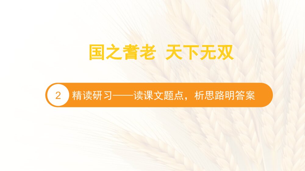 《喜看稻菽千重浪》高中语文统编版必修一PPT课件下载10