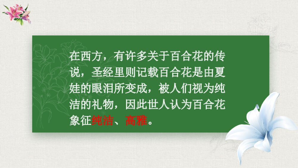 《百合花》高中语文统编版必修一PPT课件下载3