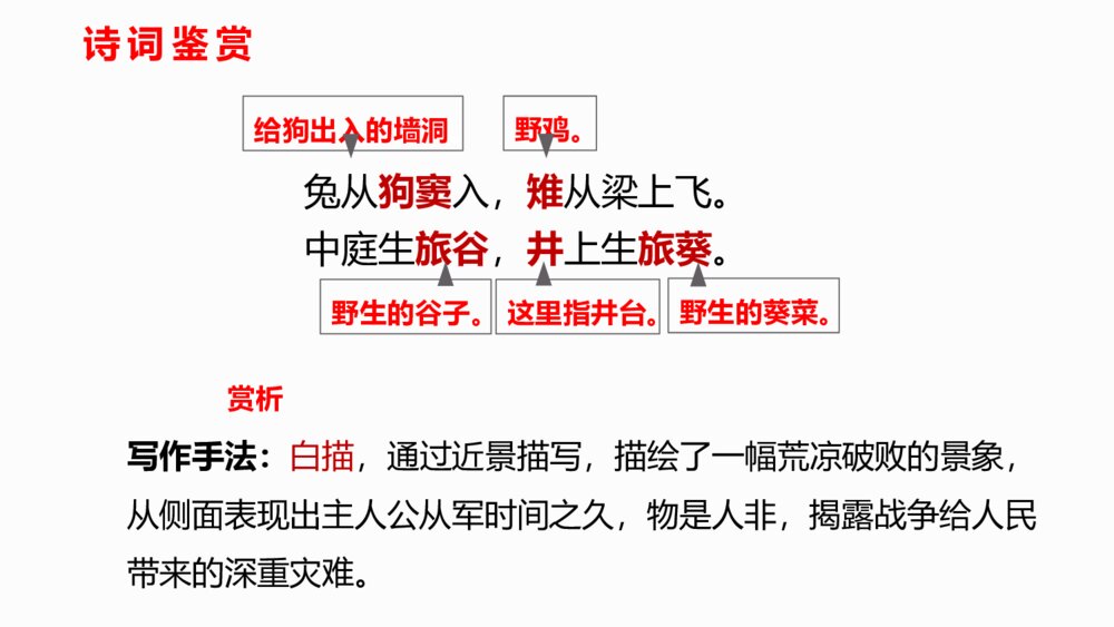 九年级部编版语文下册《十五从军征》PPT课件下载7