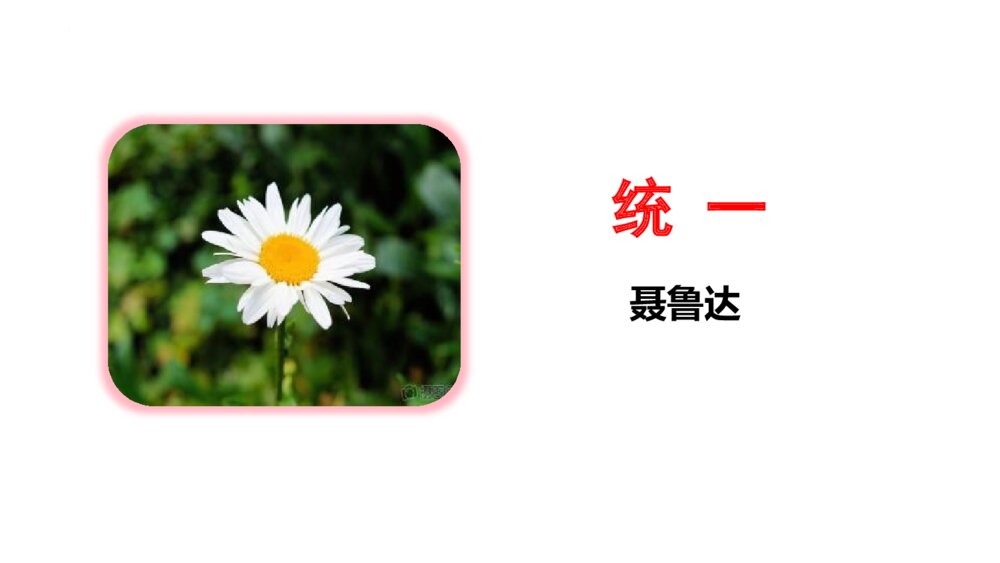 《统一》九年级语文下册部编版PPT课件