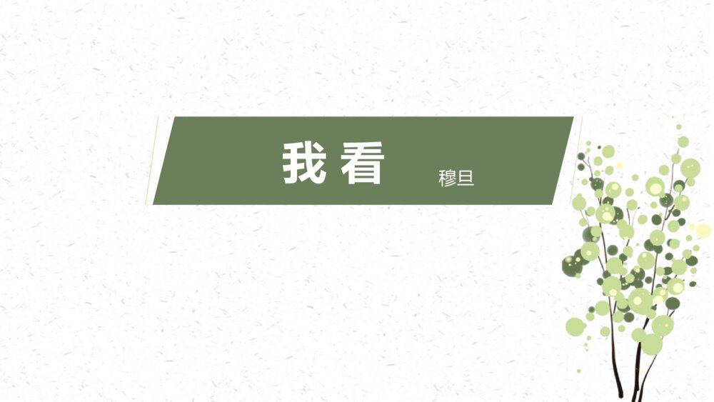 《我看》部编版九年级语文上册PPT教学课件