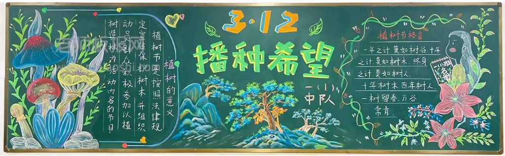 2024植树节黑板报（3张） 学雷锋好榜样共创绿色家园