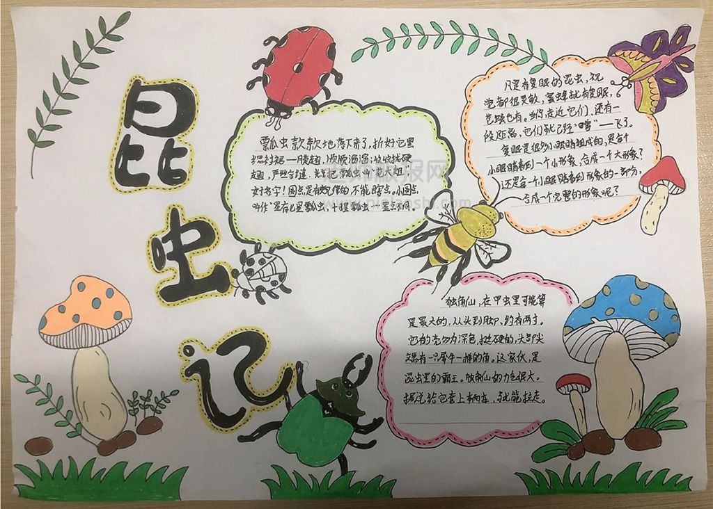 《昆虫记》名著阅读推荐手抄报绘画图片（1张）昆虫记手抄报