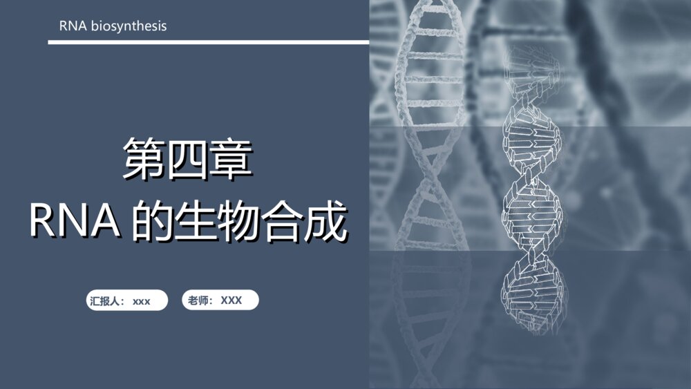 RNA的生物合成·第四章PPT课件下载