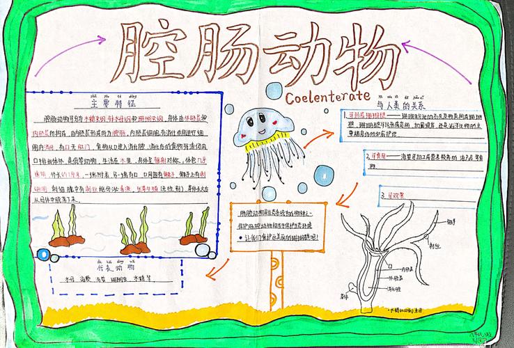 既简单又好画又好看的生物手抄报 简单好看的手抄报