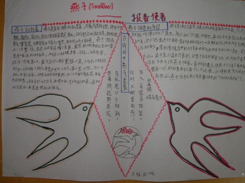 有关鸟的手抄报 手抄报版面设计图大全