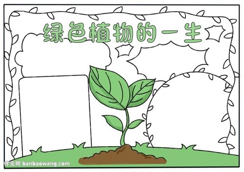 一二三四年级植物手抄报 四年级手抄报