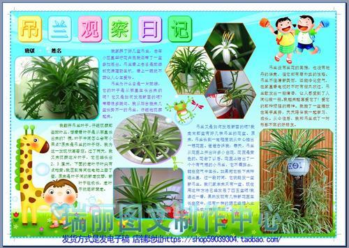 小学三年级植物记录卡手抄报 小学三年级手抄报