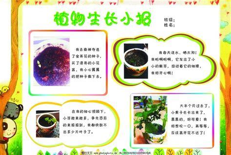 小学三年级植物记录卡手抄报 小学三年级手抄报