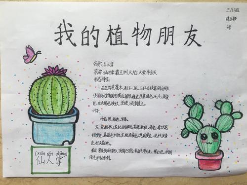 植物主题科学手抄报 植物园手抄报