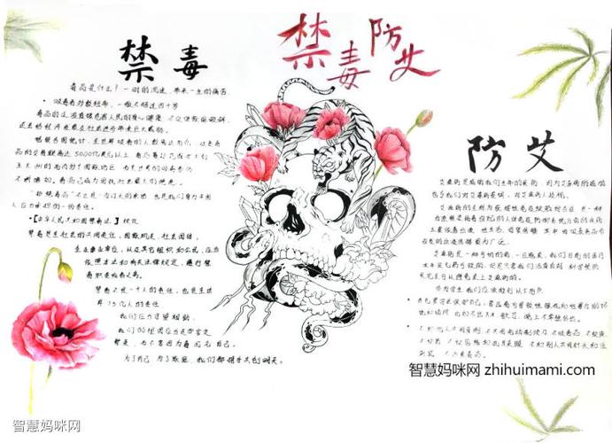 简单优秀禁毒绘画优秀作品手抄报 优秀手抄报