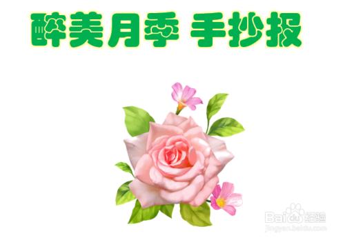 画有各种花的手抄报 花的手抄报