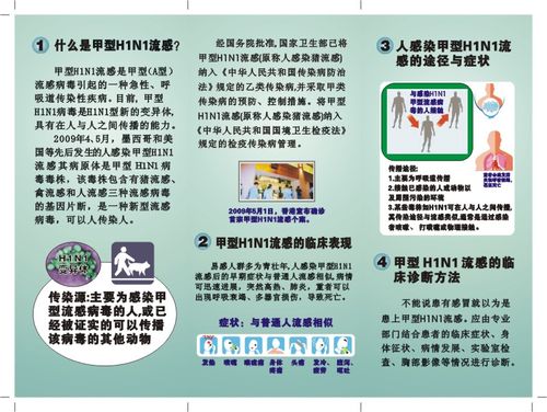 科学防控甲流手抄报 科学手抄报