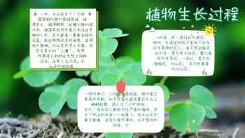 关于植物乐园的手抄报 语文乐园手抄报