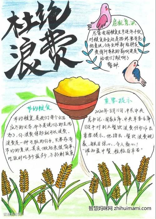 节约粮食创意画一等奖手抄报 节约粮食手抄报