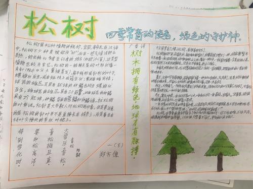 关于种植花草手抄报 手抄报简单又漂亮