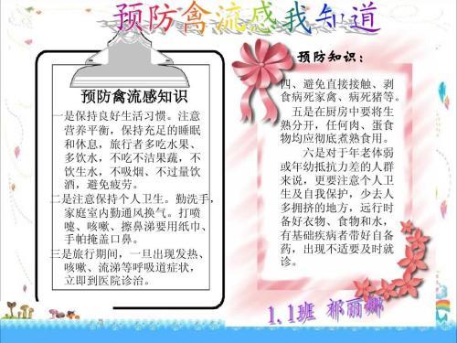 疾病预防禽流感预防手抄报 预防疾病手抄报