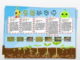 发豆芽的过程七天记录手抄报 国庆七天乐手抄报