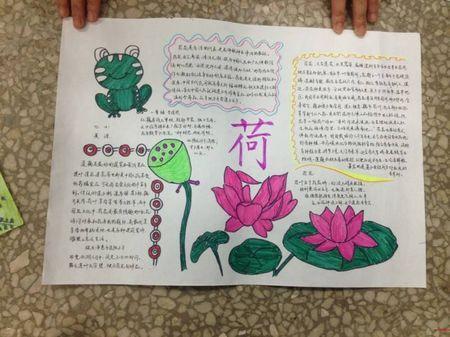 四季植物科学手抄报 四季手抄报