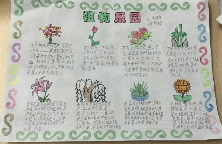 四季植物科学手抄报 四季手抄报