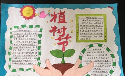 爱绿护绿小学生手抄报 爱绿护绿手抄报