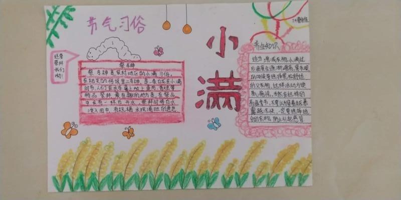 小学生立夏小满手抄报 小学生手抄报