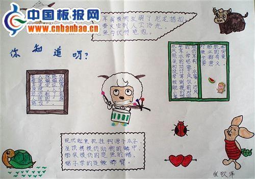 仿生学小学生手抄报 小学生手抄报